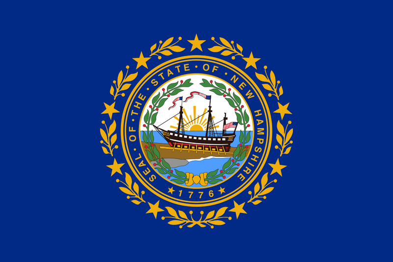 File:Flag of New Hampshire.svg.png