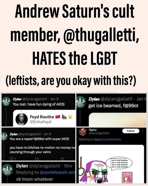 File:Dylan-Homophobic.jpeg
